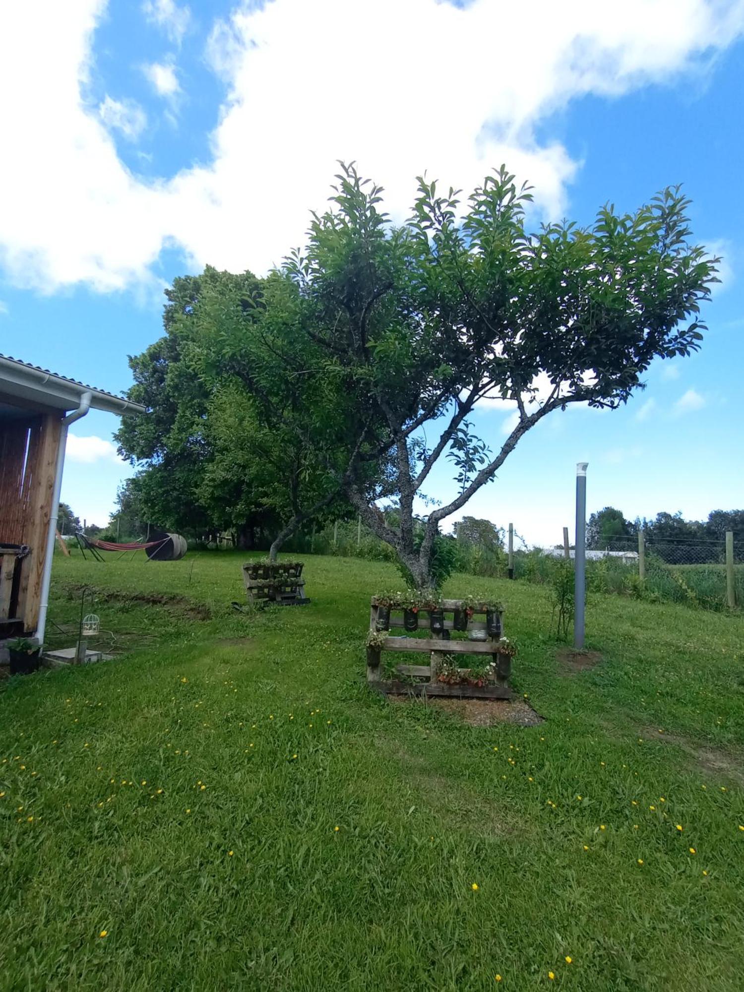Cabanas Aliwen Villa Nilque Luaran gambar